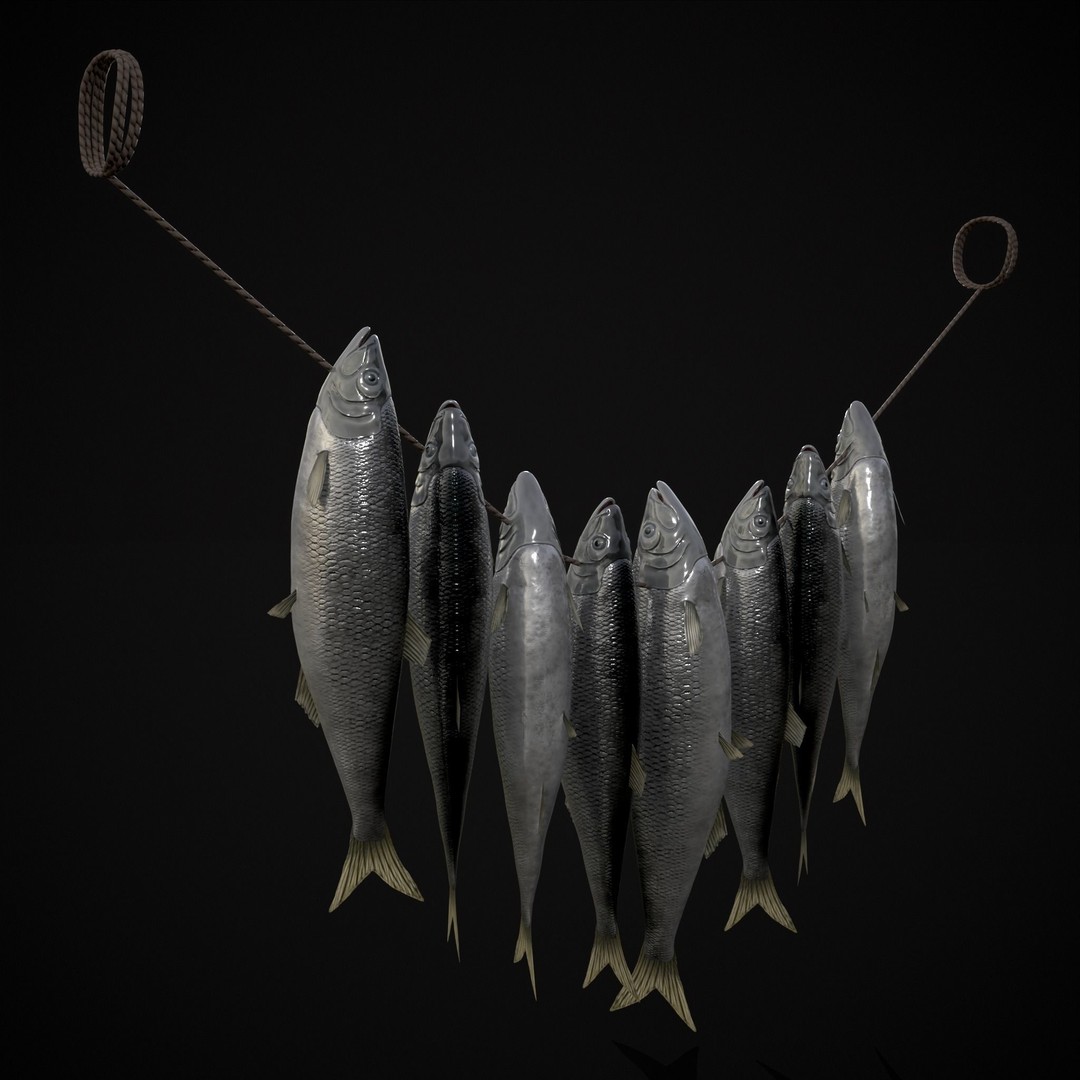 Hanging Herring Fish 3D Model – Low Poly PBR Asset, FBX & OBJ - View 20