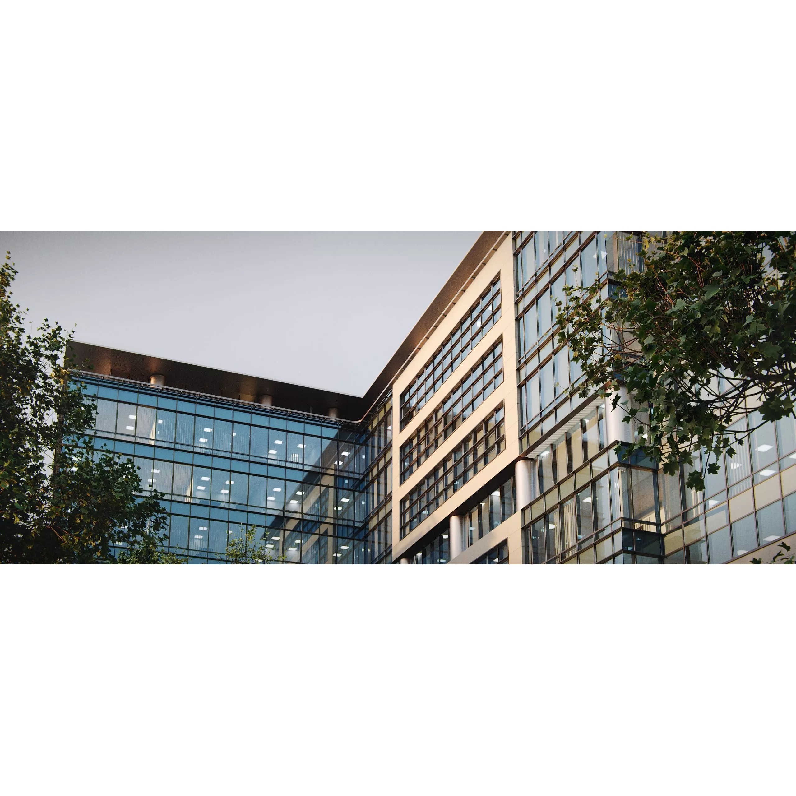 Glass Office Buildings - Modern Business Center 3D Model - View 30