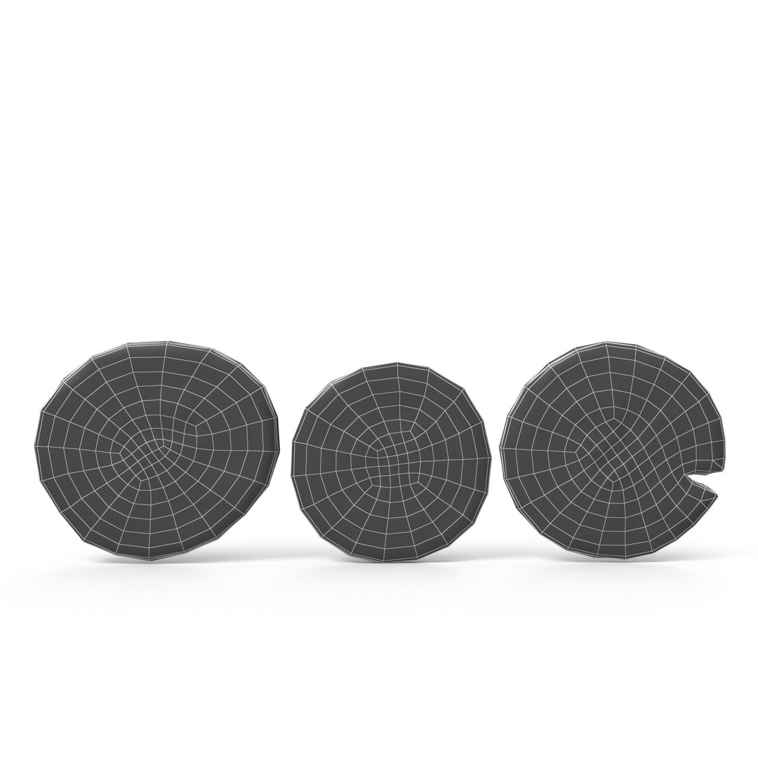 Old Coins 3D Model – Low Poly PBR Asset, FBX, OBJ, Game Ready - View 13