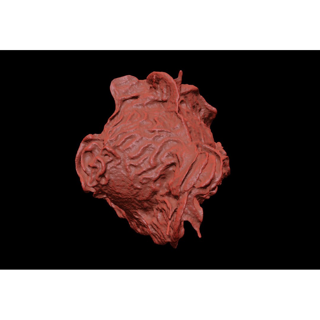 Monocyte 3D Model – Detailed Biological Representation, VRay