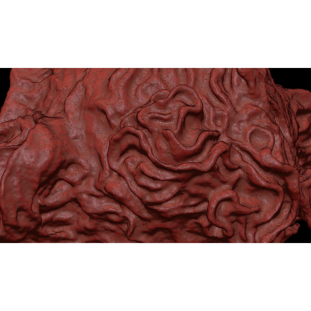Monocyte 3D Model – Detailed Biological Representation, VRay - View 11