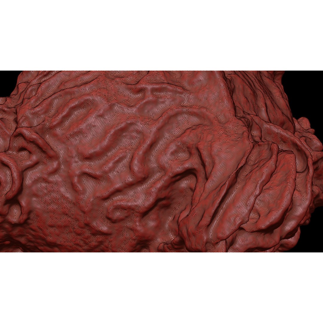 Monocyte 3D Model – Detailed Biological Representation, VRay - View 13