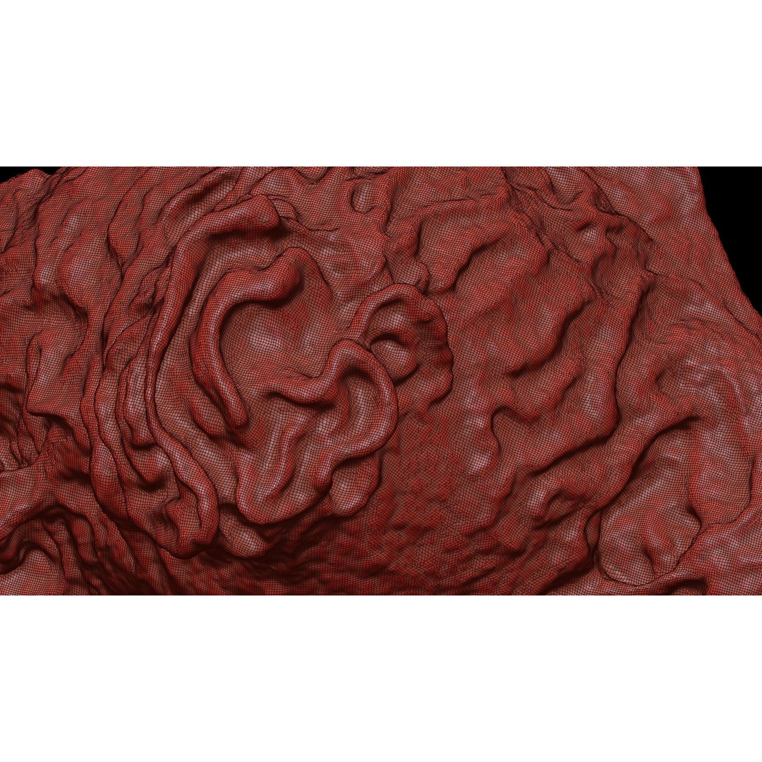Monocyte 3D Model – Detailed Biological Representation, VRay - View 16