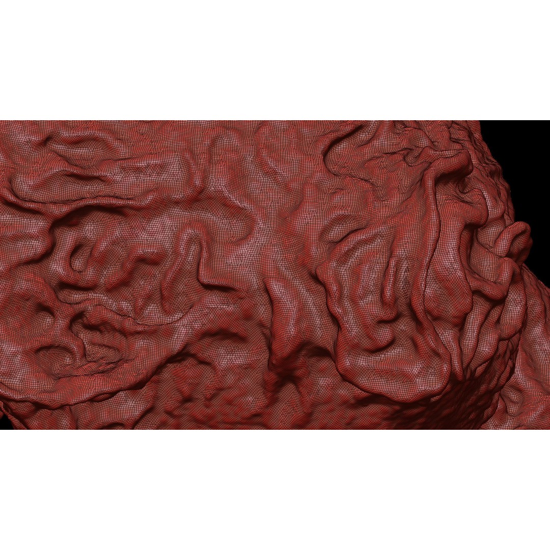 Monocyte 3D Model – Detailed Biological Representation, VRay - View 17