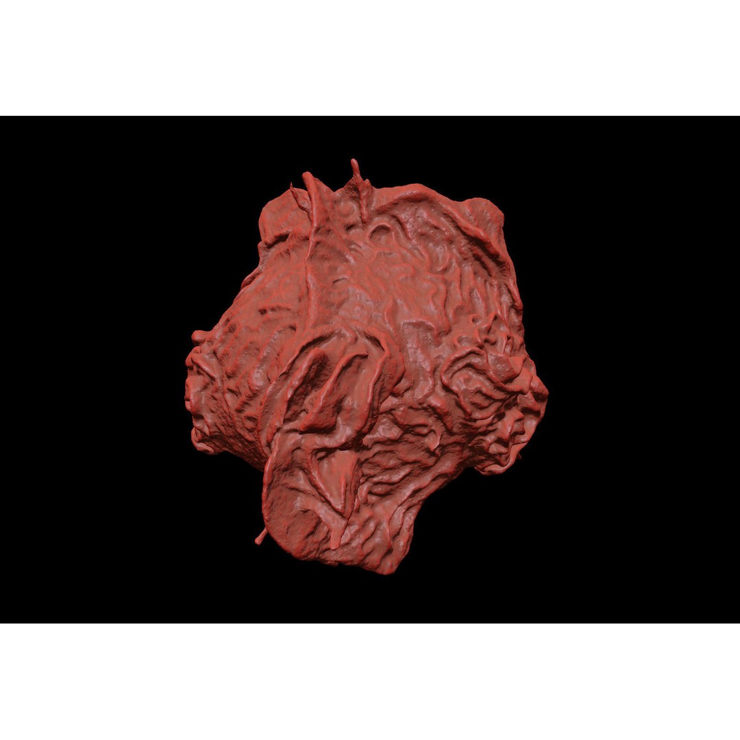 Monocyte 3D Model – Detailed Biological Representation, VRay - View 19