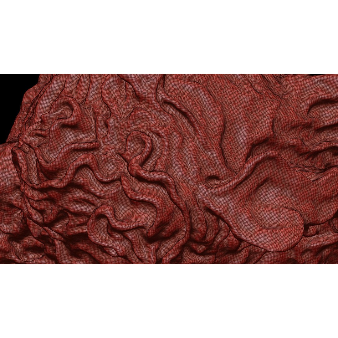 Monocyte 3D Model – Detailed Biological Representation, VRay - View 21