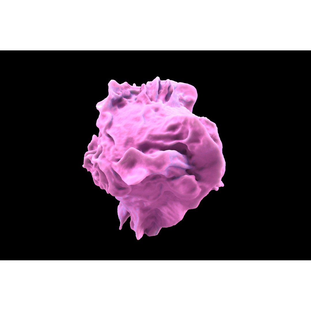 Monocyte 3D Model – Detailed Biological Representation, VRay - View 4