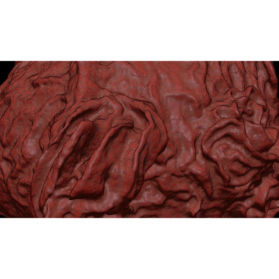 Monocyte 3D Model – Detailed Biological Representation, VRay - View 9