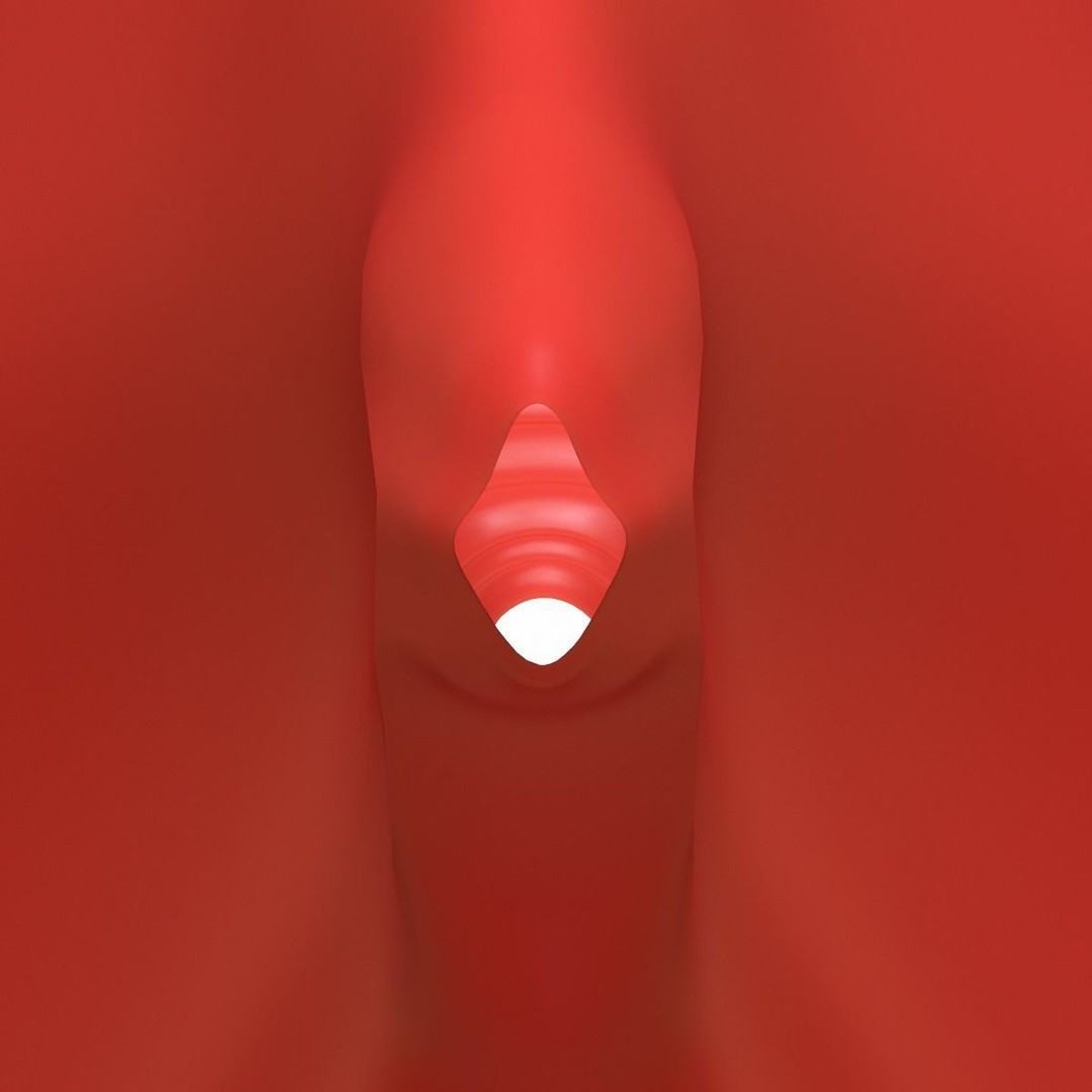 Female Reproductive System 3D Model – Realistic Medical Asset, FBX, OBJ - View 6