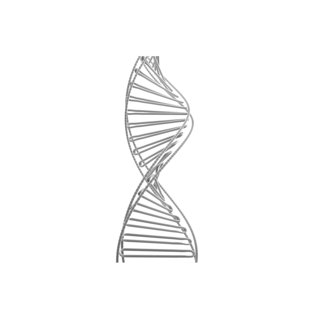 DNA Molecule 3D Model – Low Poly PBR Asset, FBX, OBJ, Vray