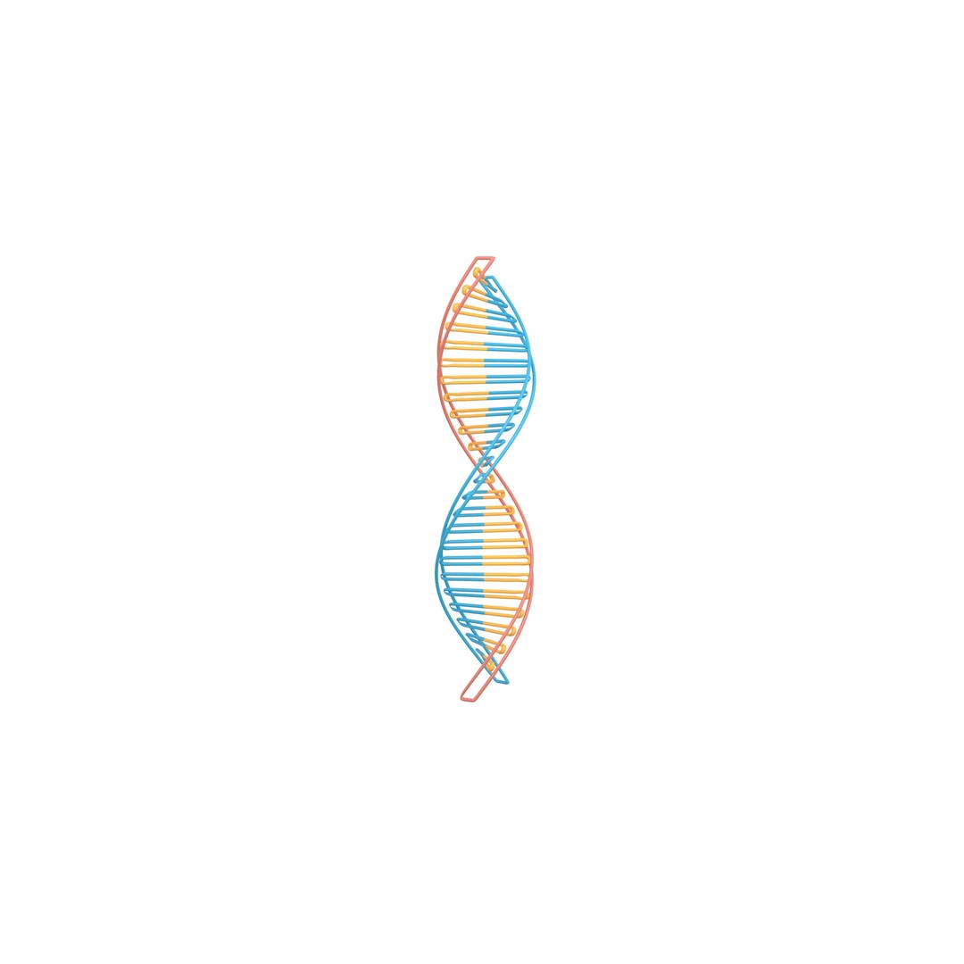 DNA Molecule 3D Model – Low Poly PBR Asset, FBX, OBJ, Vray - View 3
