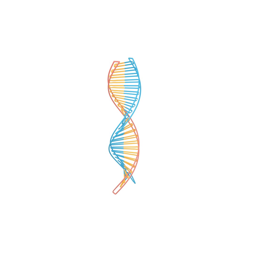 DNA Molecule 3D Model – Low Poly PBR Asset, FBX, OBJ, Vray - View 4