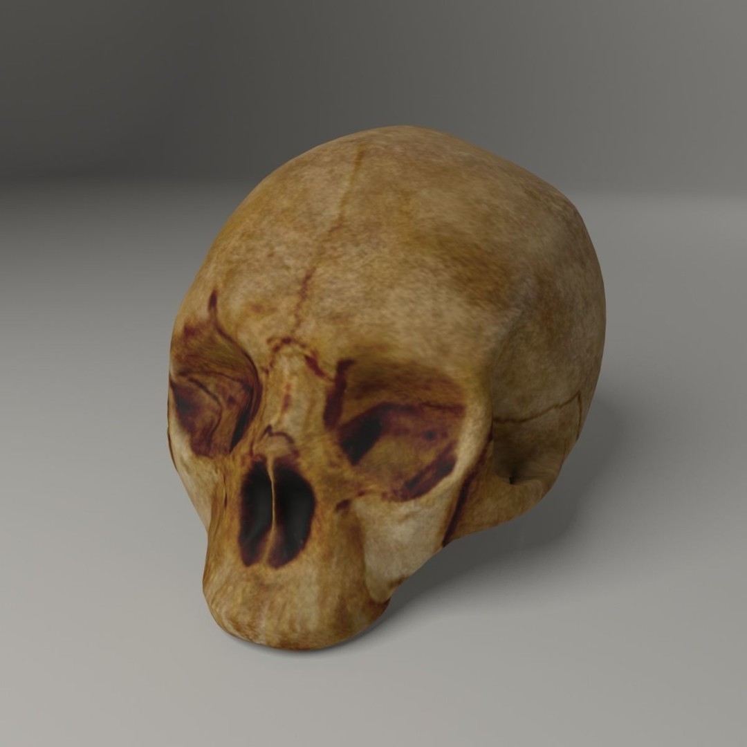 Old Skull 3D Model – Low Poly Game Asset, FBX, PBR Textured - View 10