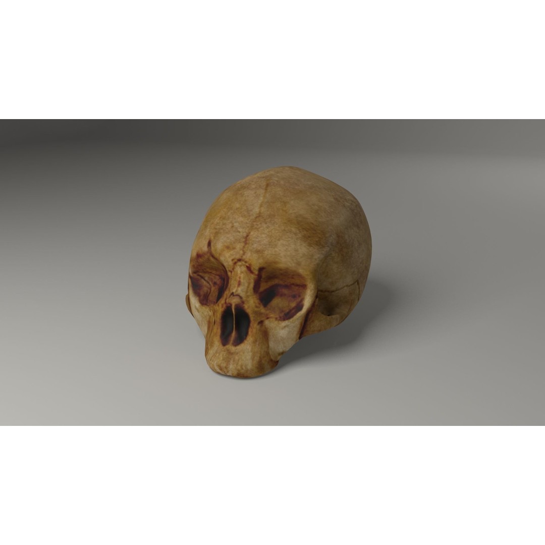 Old Skull 3D Model – Low Poly Game Asset, FBX, PBR Textured - View 4