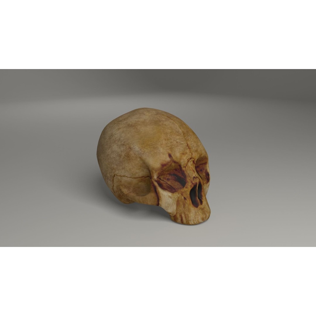 Old Skull 3D Model – Low Poly Game Asset, FBX, PBR Textured - View 6