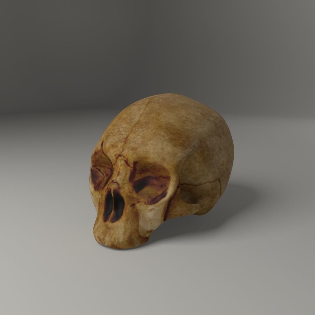 Old Skull 3D Model – Low Poly Game Asset, FBX, PBR Textured - View 7