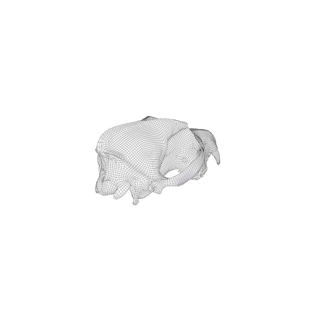 Wolf Skull 3D Model – Low Poly Photogrammetry Game Asset, FBX - View 30