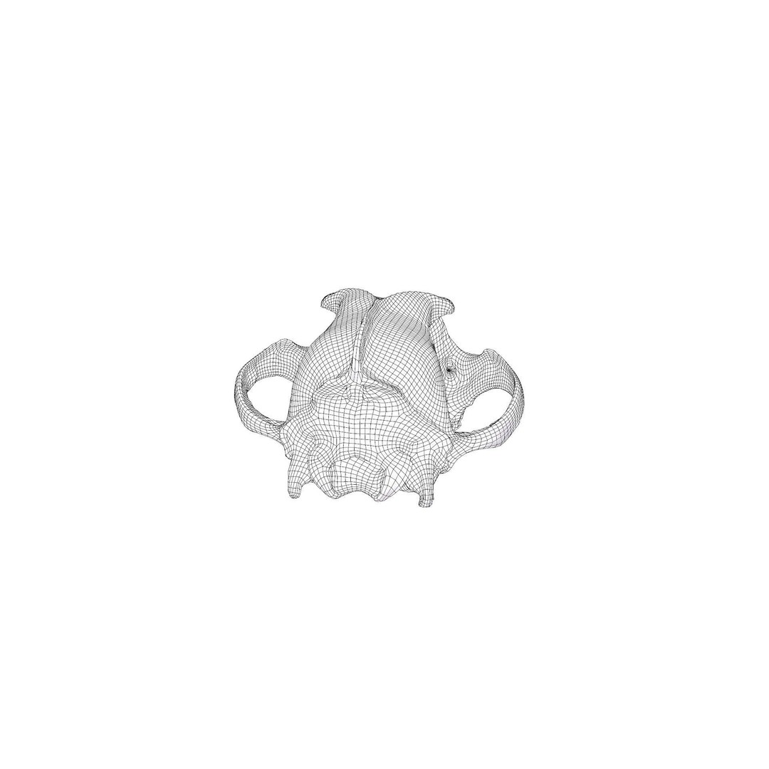 Wolf Skull 3D Model – Low Poly Photogrammetry Game Asset, FBX - View 31