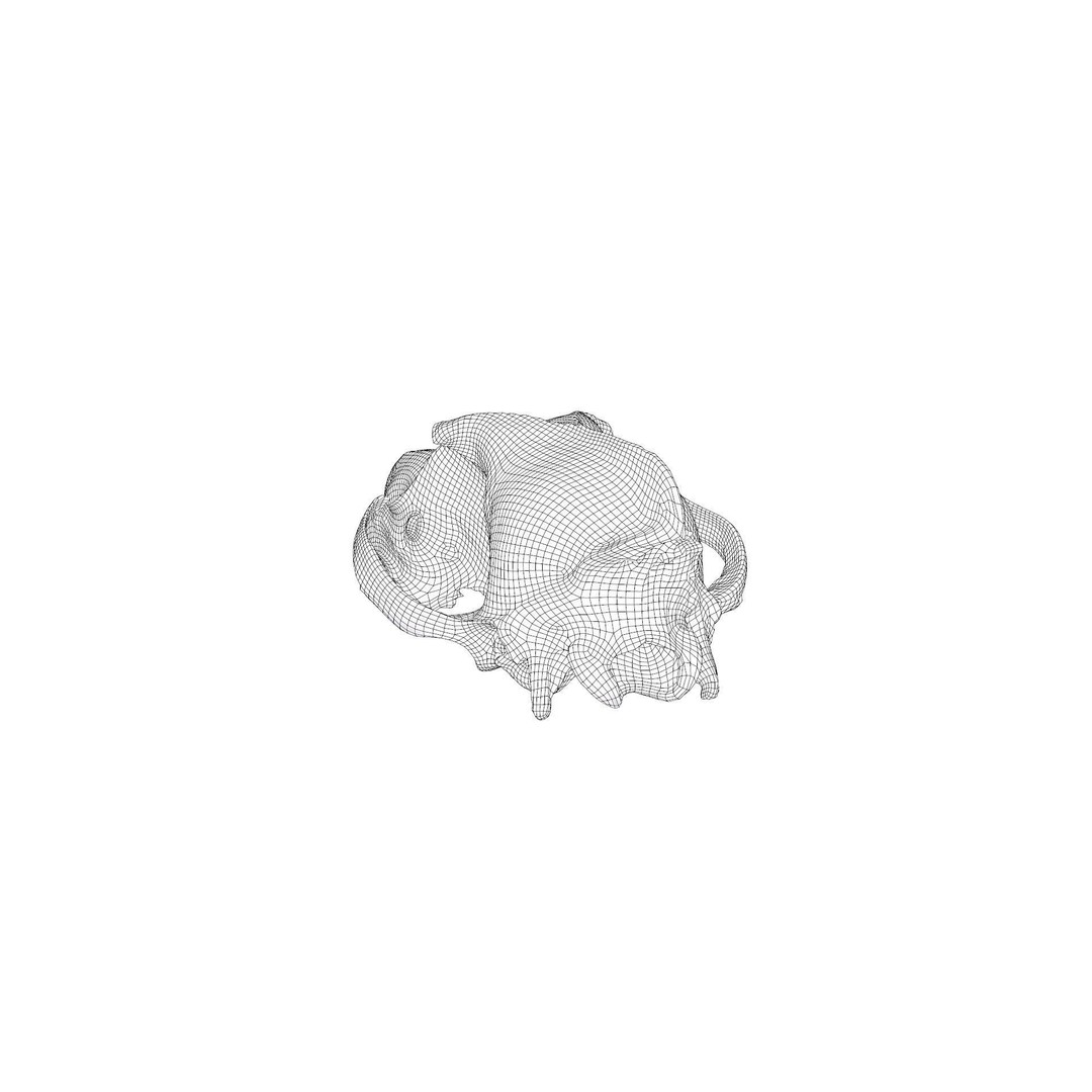 Wolf Skull 3D Model – Low Poly Photogrammetry Game Asset, FBX - View 32
