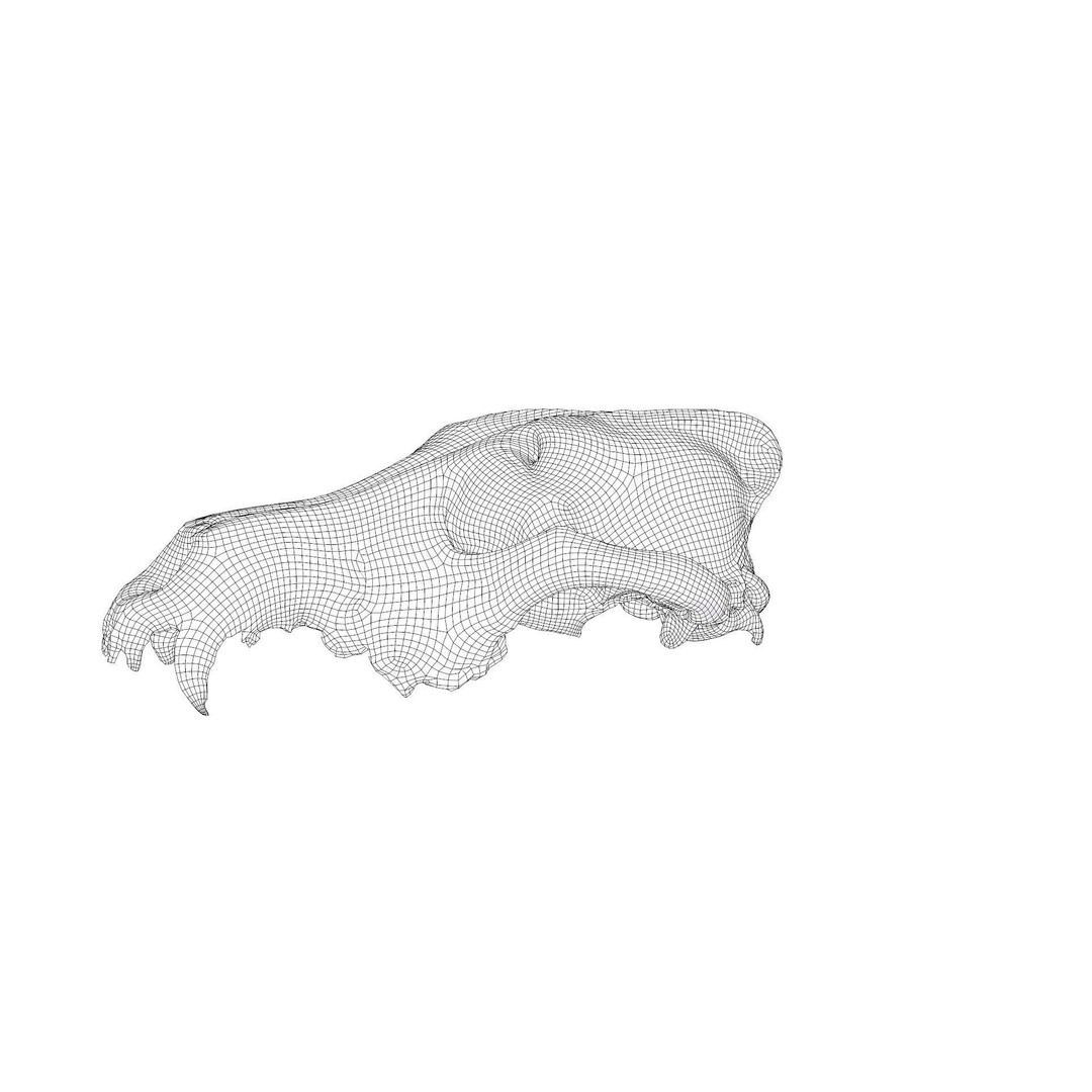 Wolf Skull 3D Model – Low Poly Photogrammetry Game Asset, FBX - View 35