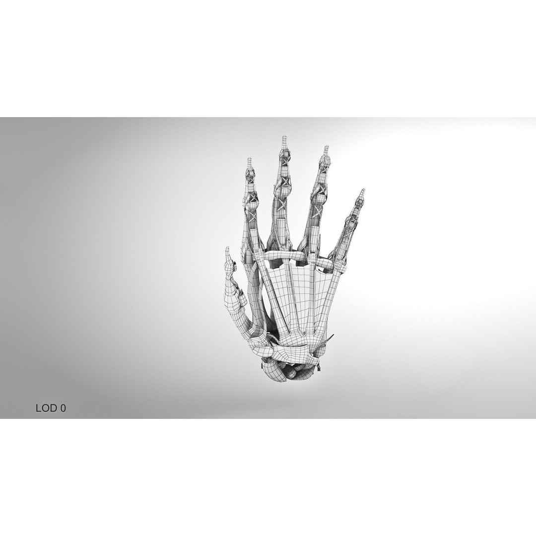 Hand Bones with Ligaments 3D Model – Low Poly Medical Asset, FBX - View 11
