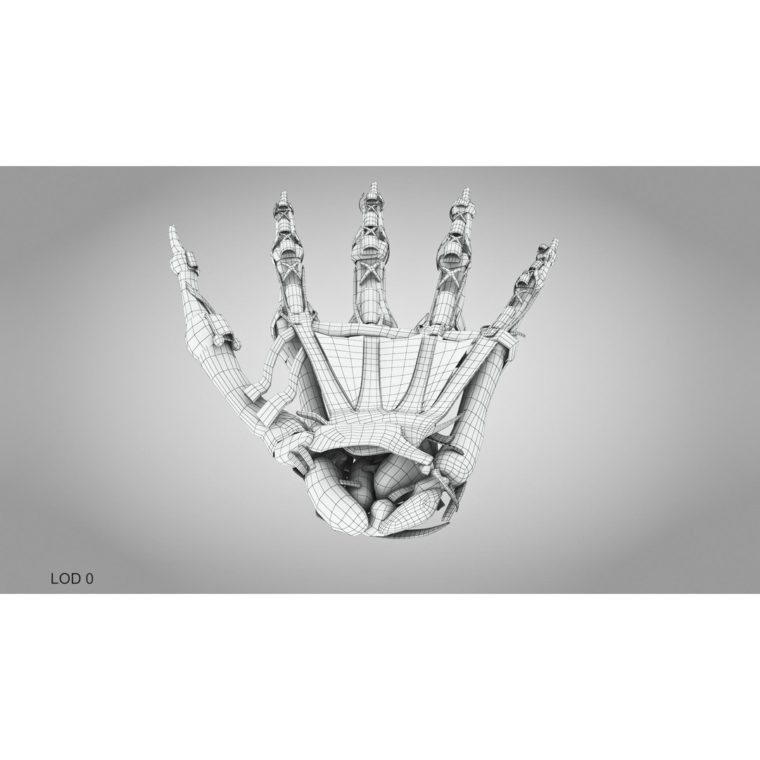 Hand Bones with Ligaments 3D Model – Low Poly Medical Asset, FBX - View 17