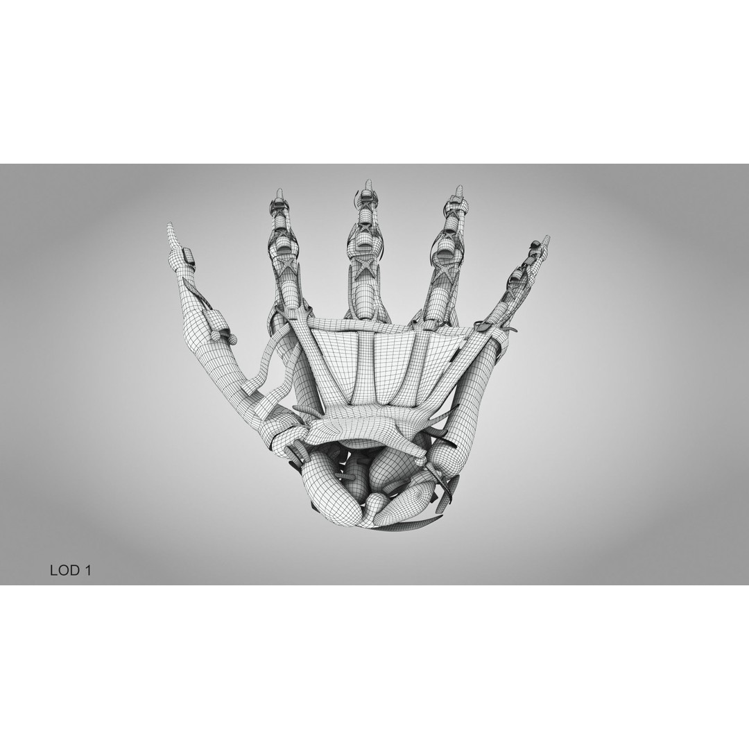 Hand Bones with Ligaments 3D Model – Low Poly Medical Asset, FBX - View 18