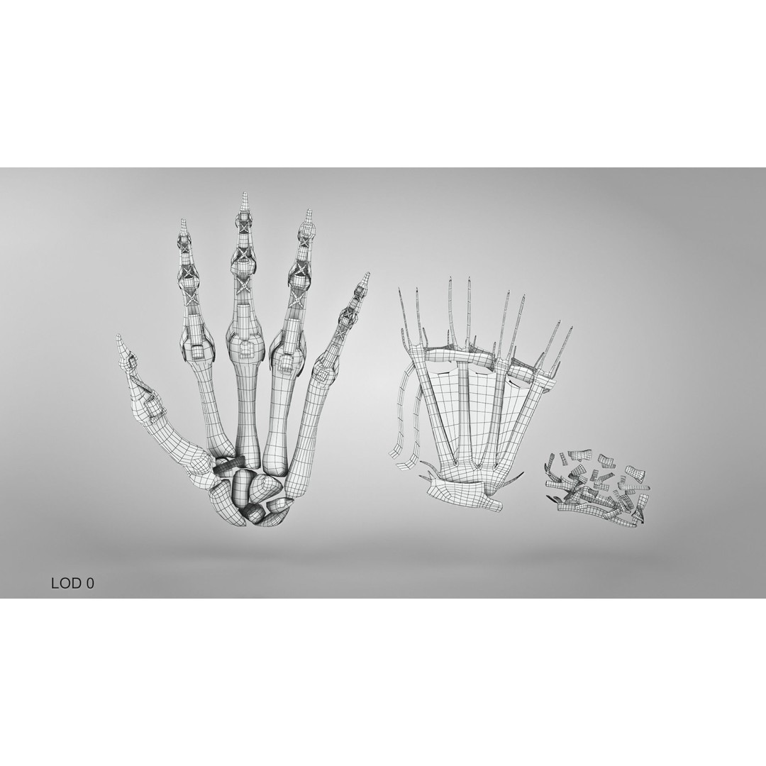 Hand Bones with Ligaments 3D Model – Low Poly Medical Asset, FBX - View 19