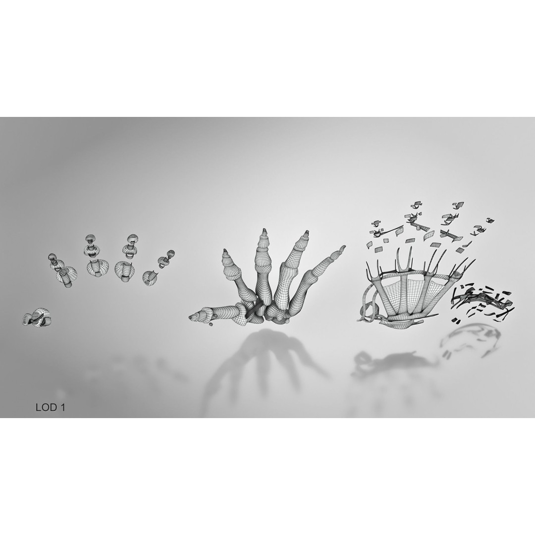 Hand Bones with Ligaments 3D Model – Low Poly Medical Asset, FBX - View 20