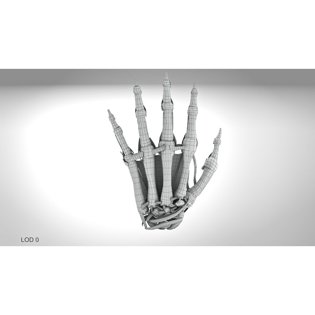 Hand Bones with Ligaments 3D Model – Low Poly Medical Asset, FBX - View 9
