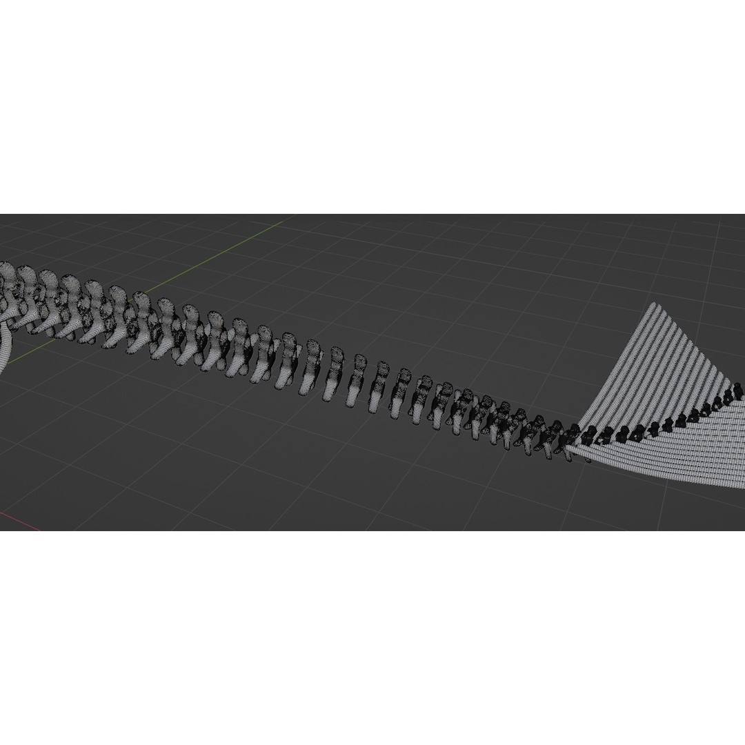 Bloop Sea Monster Skeleton 3D Model – Low Poly Game Asset, FBX - View 11