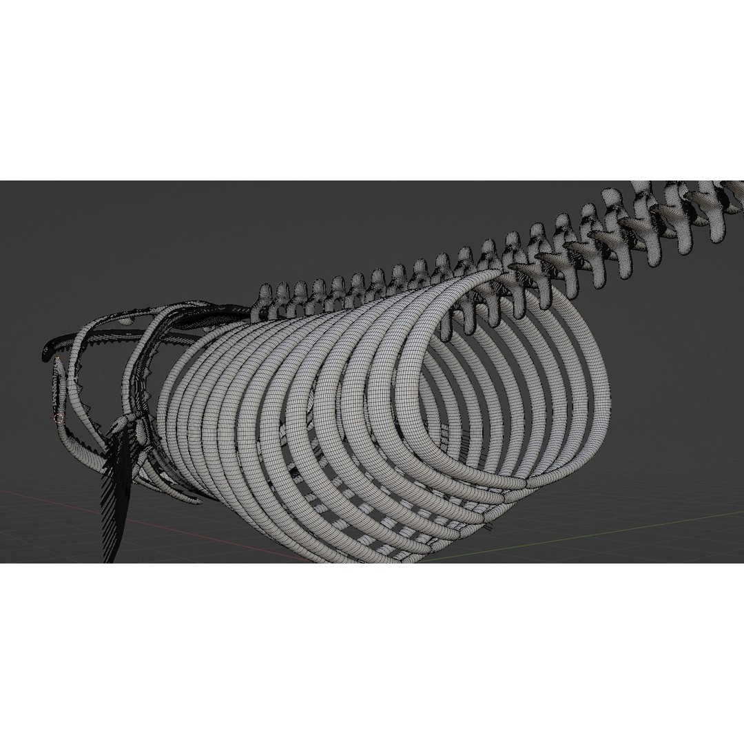 Bloop Sea Monster Skeleton 3D Model – Low Poly Game Asset, FBX - View 12