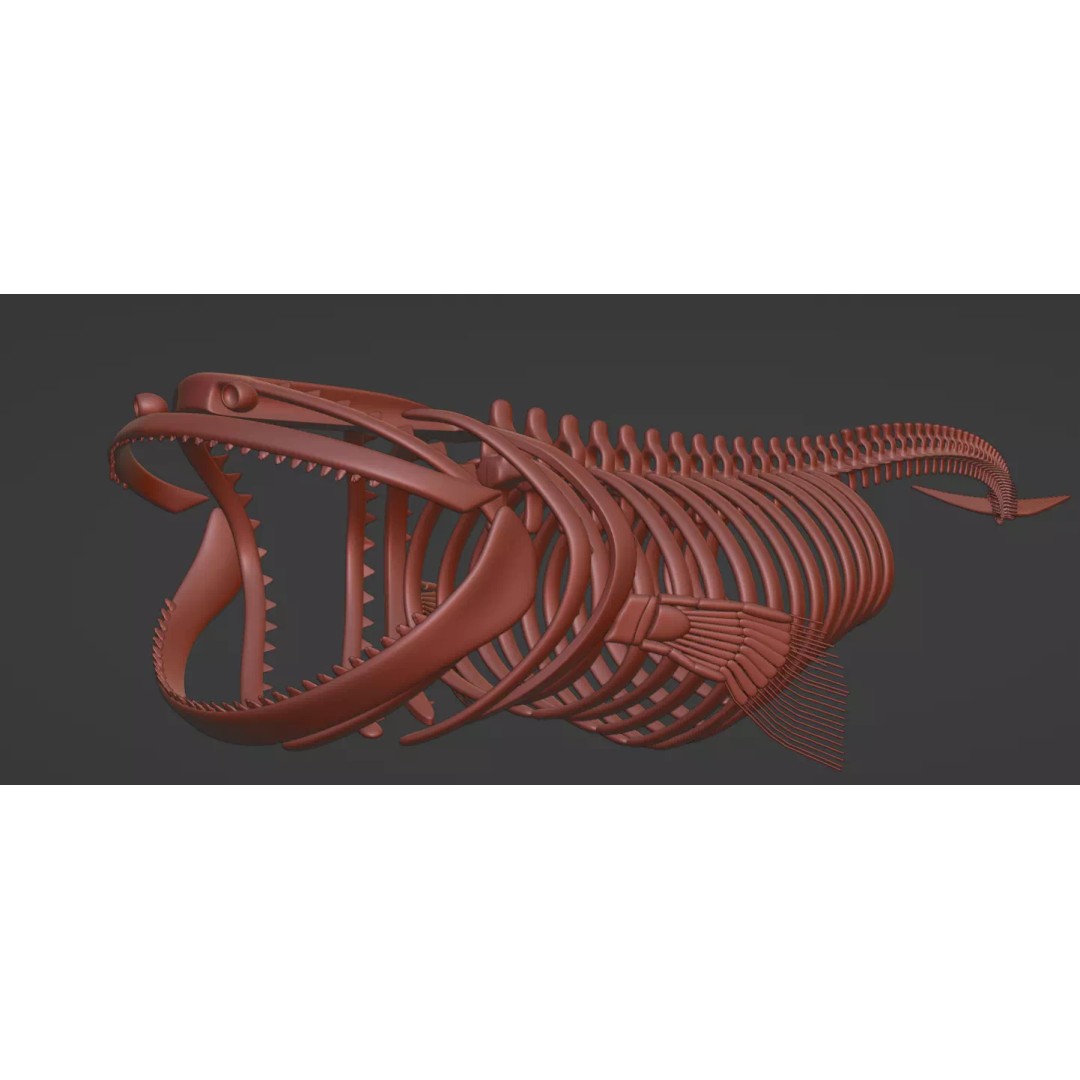 Bloop Sea Monster Skeleton 3D Model – Low Poly Game Asset, FBX - View 2