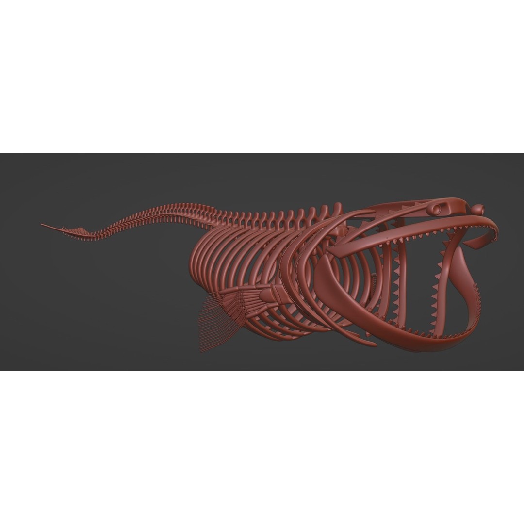 Bloop Sea Monster Skeleton 3D Model – Low Poly Game Asset, FBX - View 5