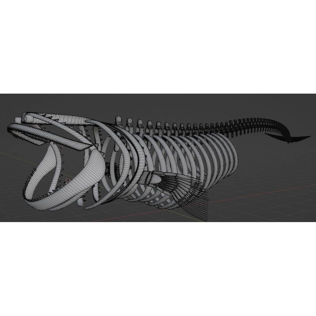 Bloop Sea Monster Skeleton 3D Model – Low Poly Game Asset, FBX - View 8