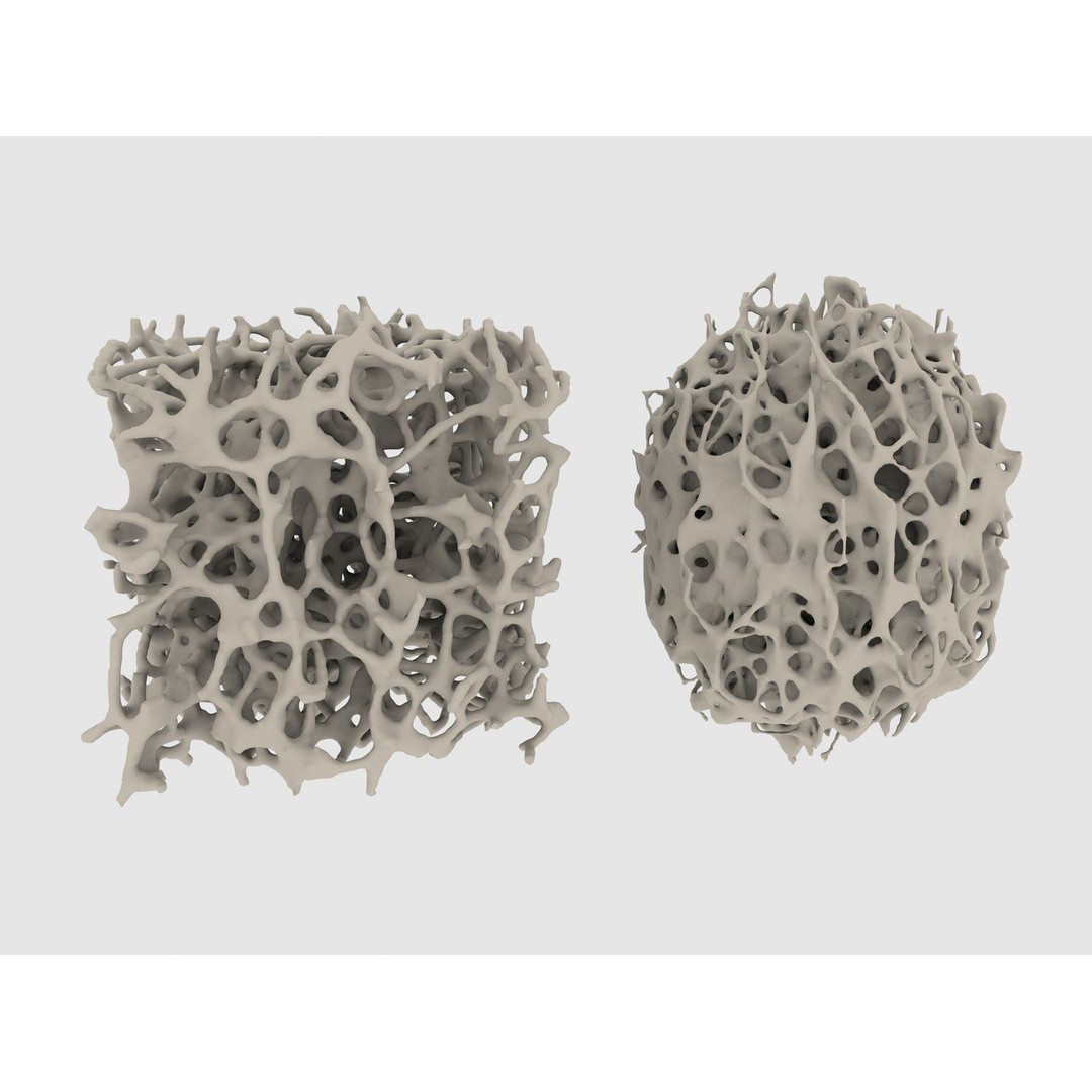 Bone Structure 3D Model – High Poly Medical Asset, FBX, OBJ - View 3