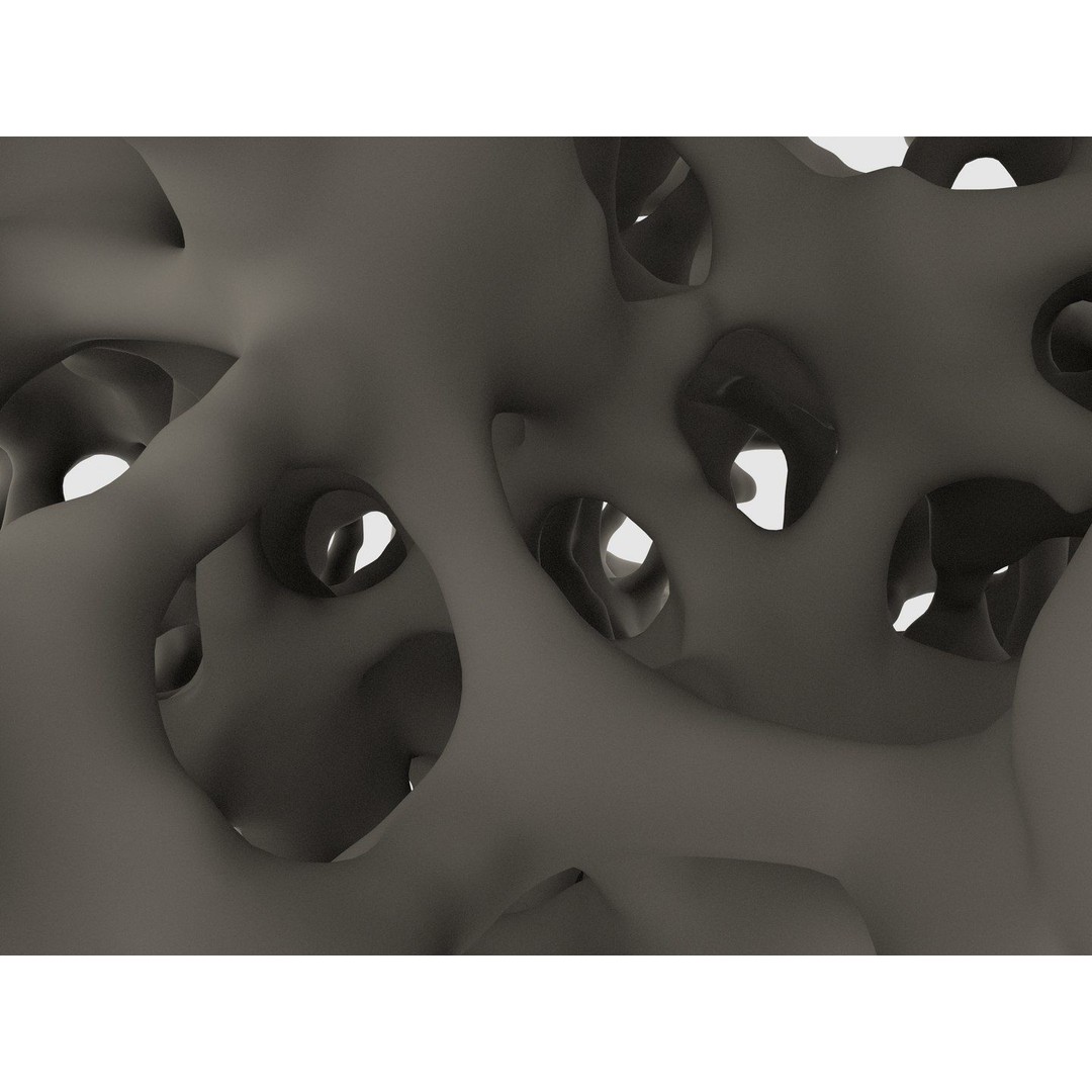Bone Structure 3D Model – High Poly Medical Asset, FBX, OBJ - View 4