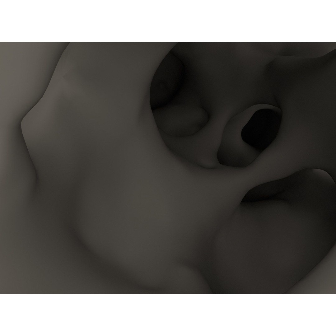 Bone Structure 3D Model – High Poly Medical Asset, FBX, OBJ - View 5