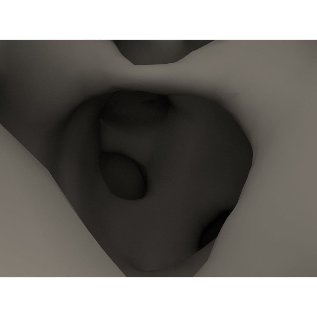 Bone Structure 3D Model – High Poly Medical Asset, FBX, OBJ - View 6