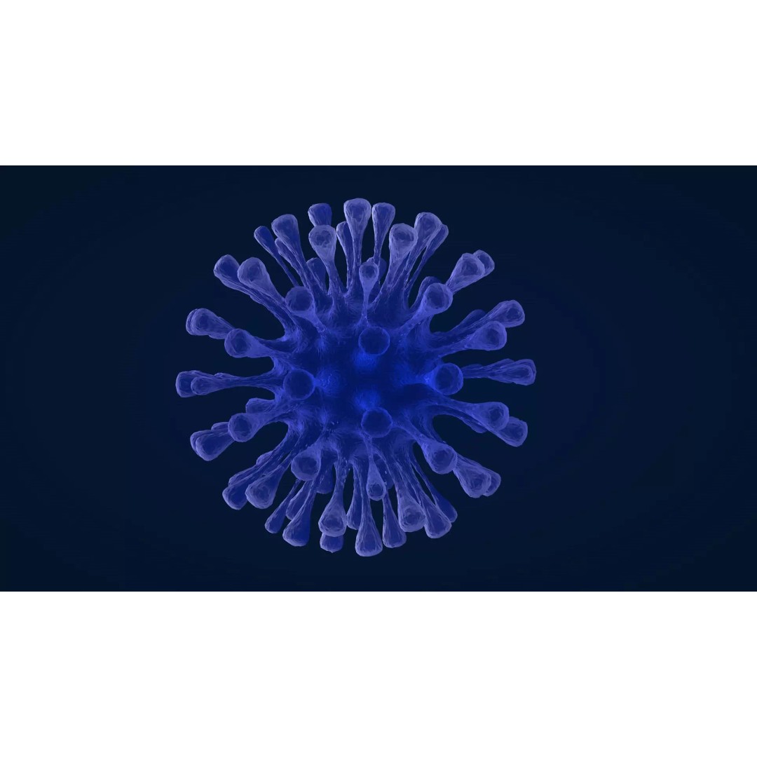 Virus 3D Model – Animated PBR Asset for Game Engines, FBX, C4D - View 2