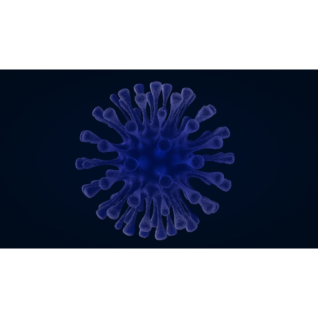 Virus 3D Model – Animated PBR Asset for Game Engines, FBX, C4D - View 3