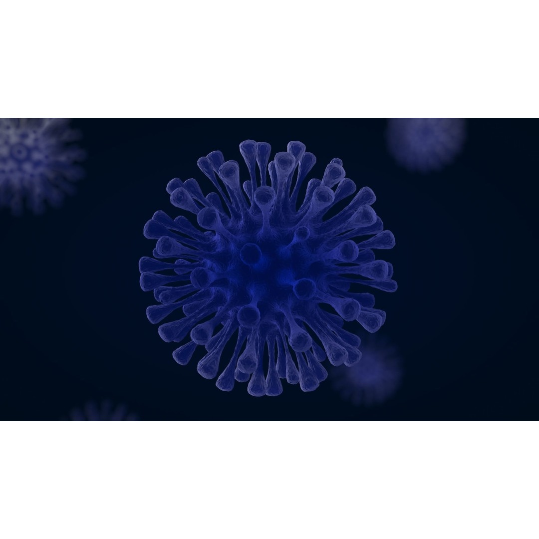 Virus 3D Model – Animated PBR Asset for Game Engines, FBX, C4D - View 5