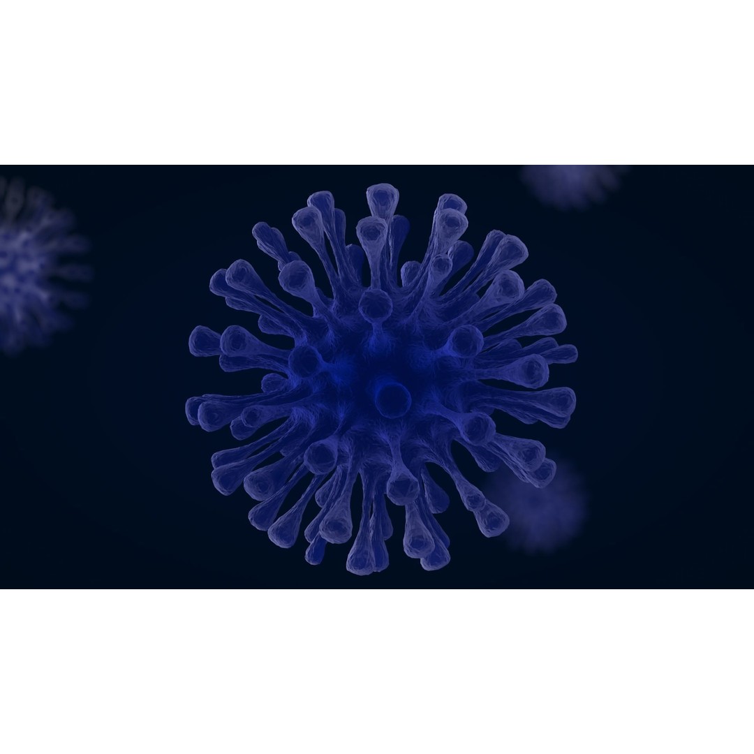 Virus 3D Model – Animated PBR Asset for Game Engines, FBX, C4D - View 6