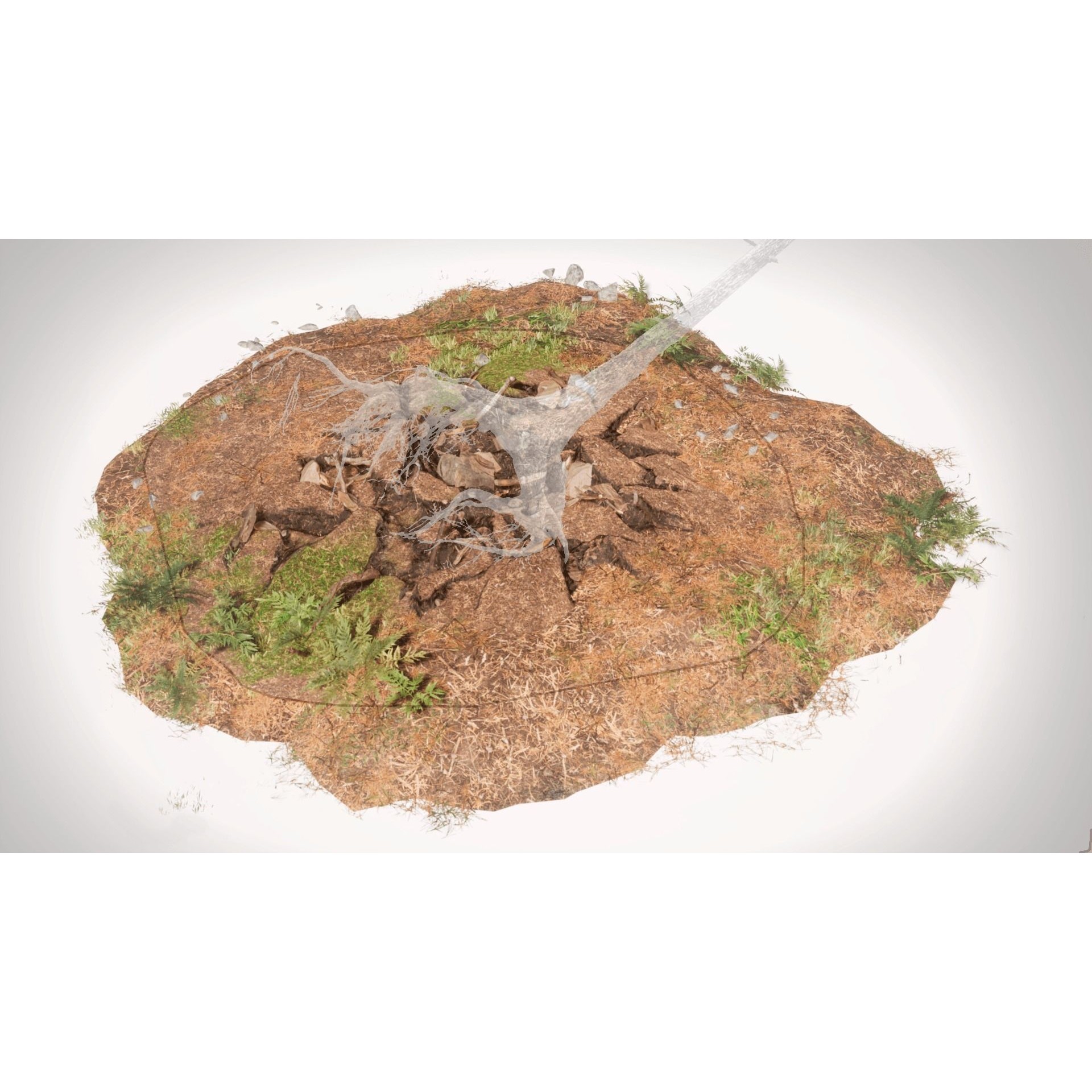 Rocky Pine Trees Forest Biome - Low-Poly Game-Ready 3D Model - View 12