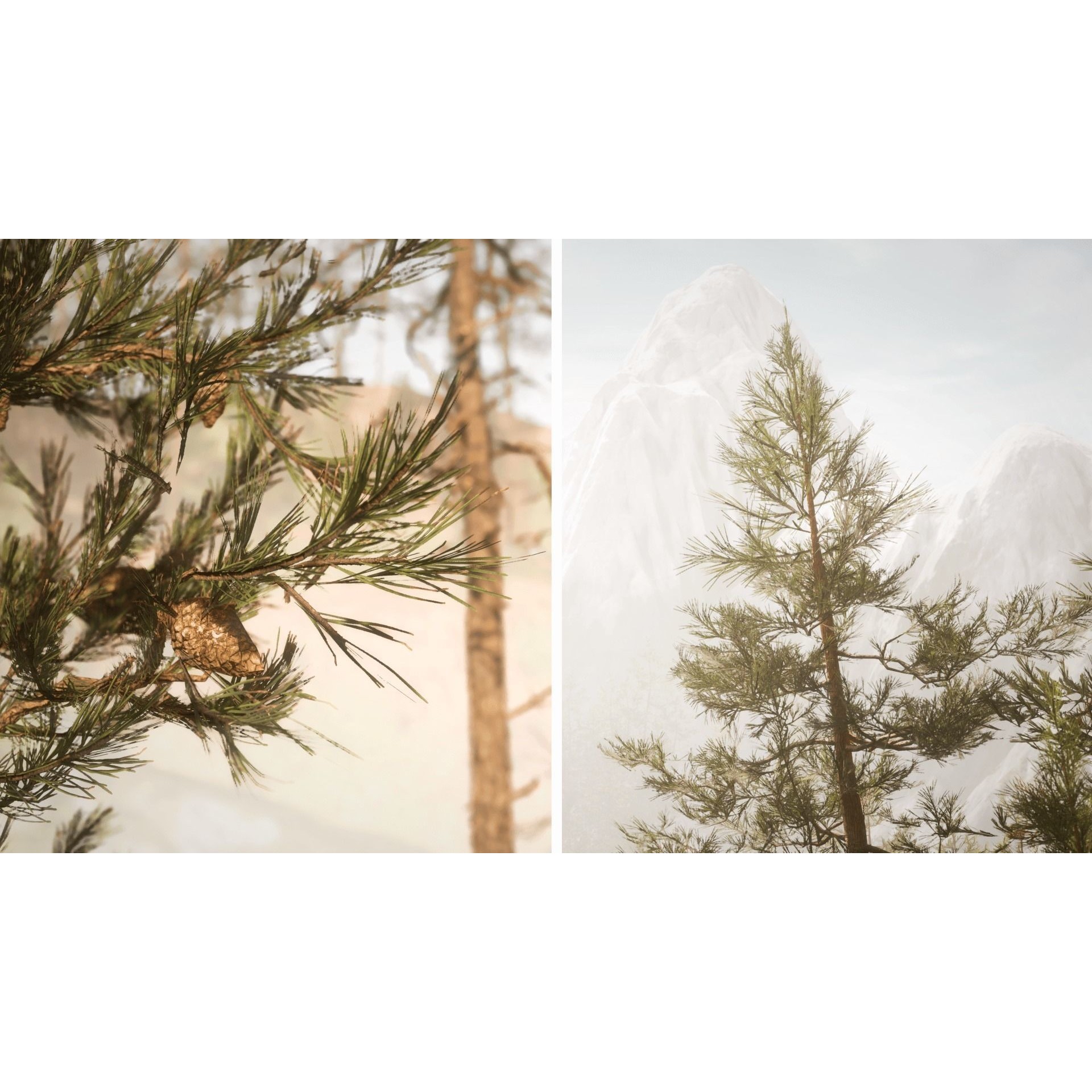 Rocky Pine Trees Forest Biome - Low-Poly Game-Ready 3D Model - View 14