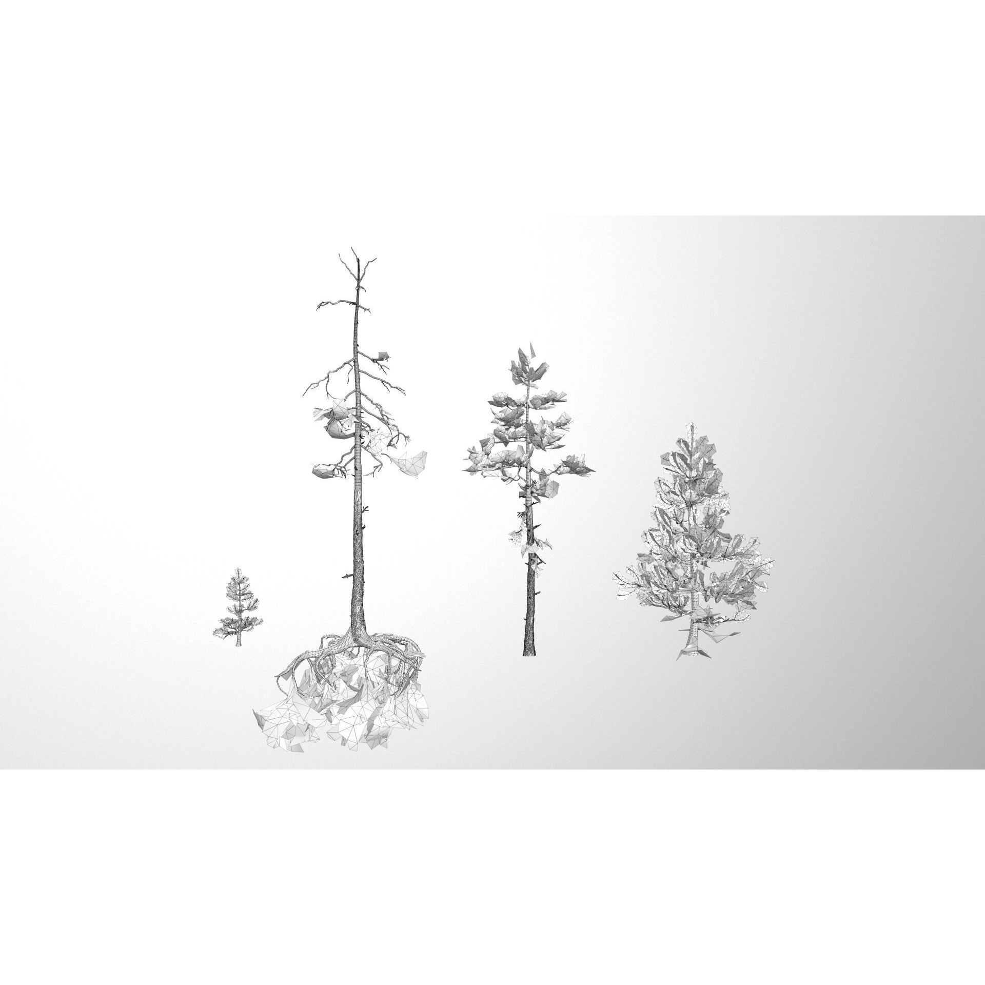 Rocky Pine Trees Forest Biome - Low-Poly Game-Ready 3D Model - View 17