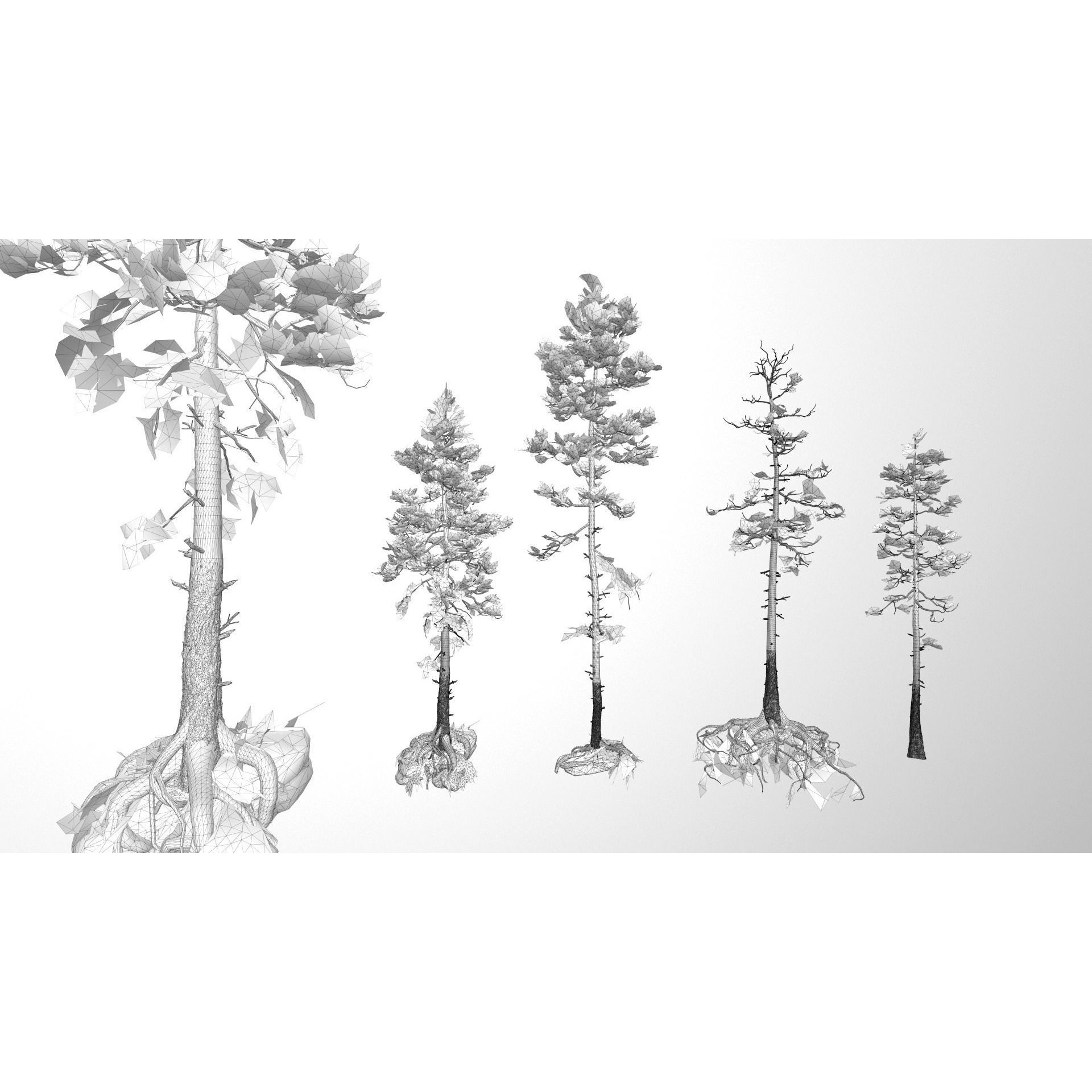 Rocky Pine Trees Forest Biome - Low-Poly Game-Ready 3D Model - View 19