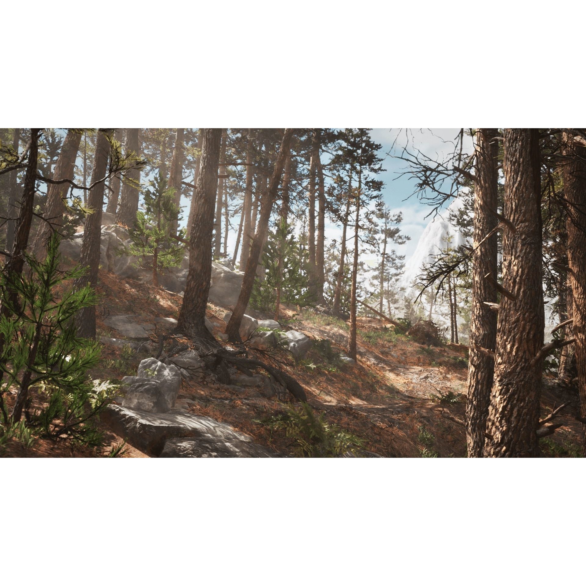 Rocky Pine Trees Forest Biome - Low-Poly Game-Ready 3D Model - View 3