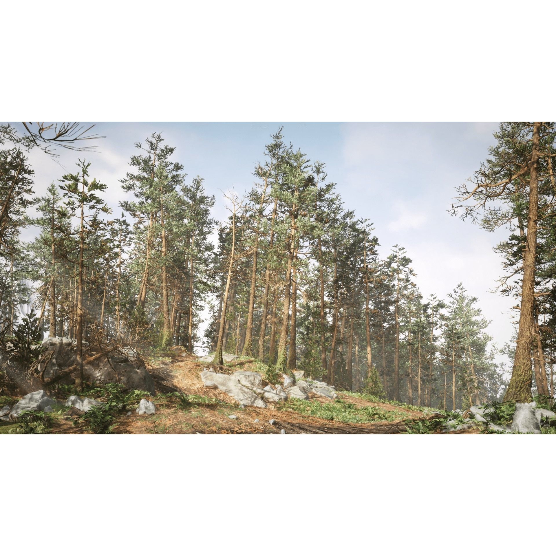 Rocky Pine Trees Forest Biome - Low-Poly Game-Ready 3D Model - View 4