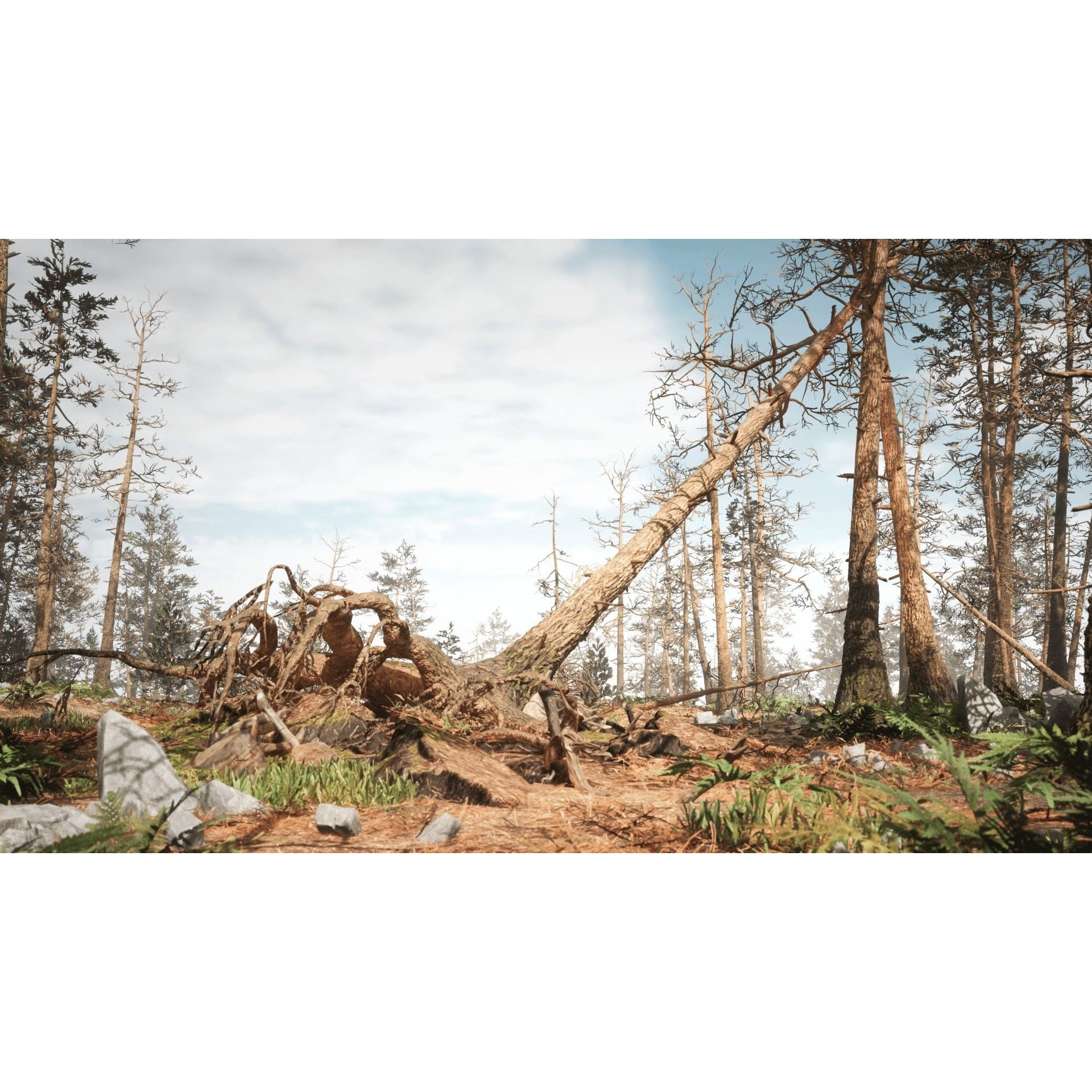 Rocky Pine Trees Forest Biome - Low-Poly Game-Ready 3D Model - View 5